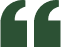 Green quotation mark on white background.